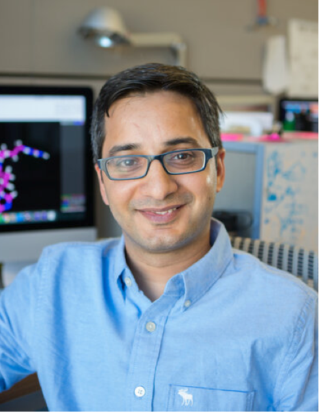 Prof. Gaurav Bhardwaj Ph.D